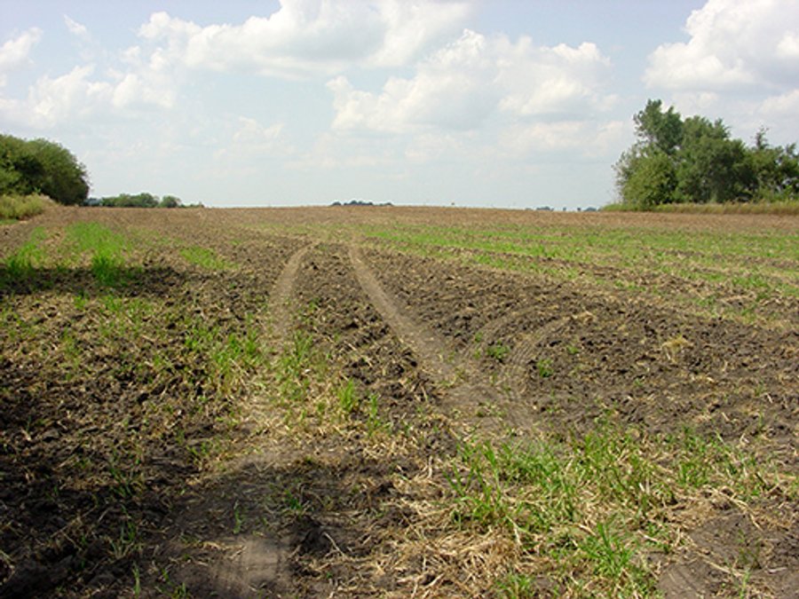PRODUCTIVE FARMLAND AUCTION-92.7+/- ACRES OFFERED IN 1 TRACT IN KANKAKEE COUNTY